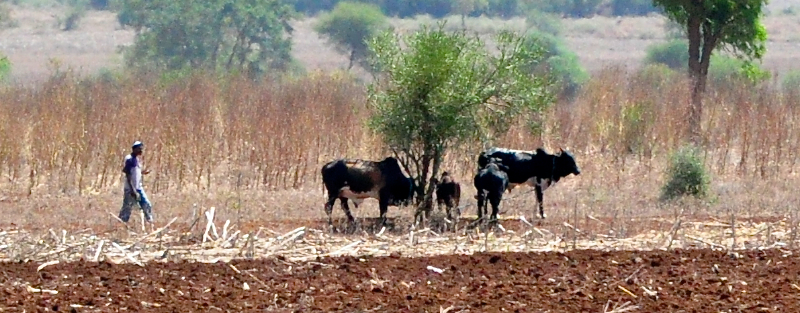 Melanie Heinrich - Travel Images - Nairobi Kenya -Arusha, Tanzania